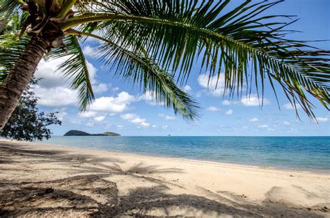 Palm Cove beach images