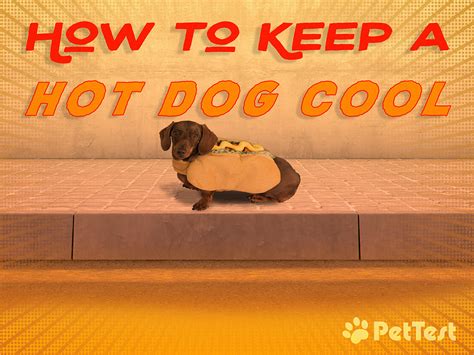 how to cool off a hot dog