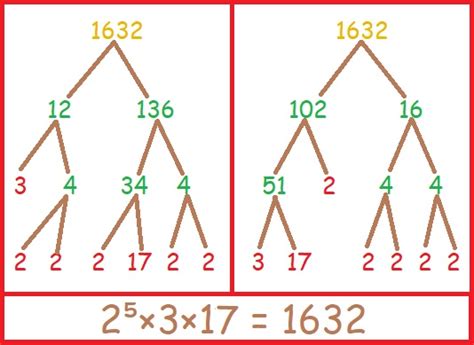 factor tree | Find the Factors