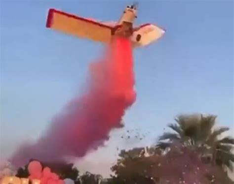 Pilot dies in plane crash while performing gender reveal flyover ...