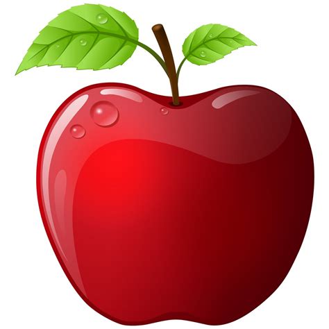 Free Vector Apple Stock Photo - FreeImages.com