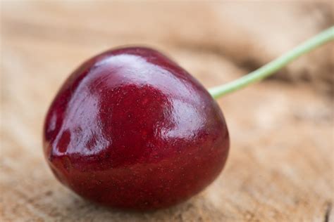 sweet cherry fruit tree 1
