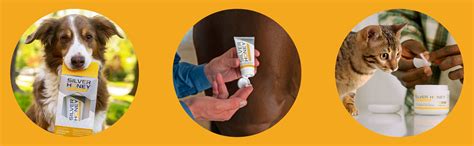 The Healing Power Of Silver Honey: 5 Natural Ways To Soothe Your Furry Friend