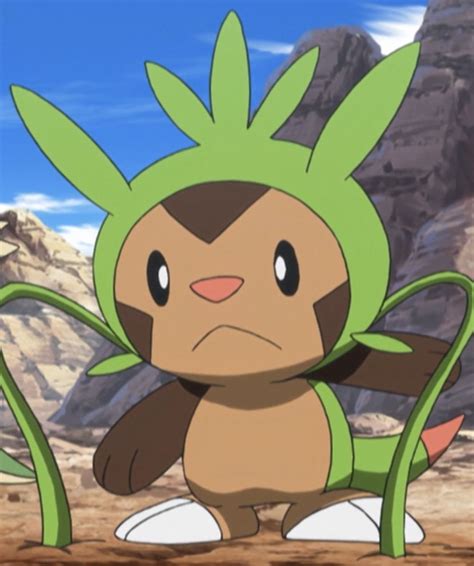 (650) Chespin (Screenshot) in 2024 | Pokemon starters, Pokemon, All pokemon