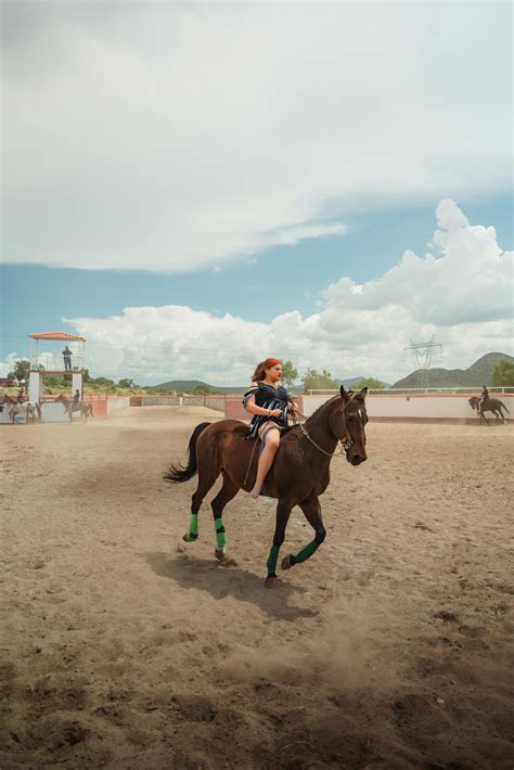 Reverse+Cowgirl+Gif Photos, Download The BEST Free Reverse+Cowgirl+Gif