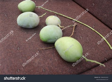 pickel preparation images stock   objects vectors