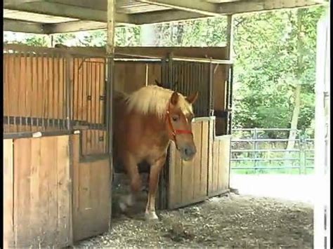 Hooked on Phonics videos - Dailymotion