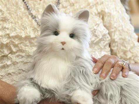 Will Your Next Pet Be A Robotic Cat? | Popular Science