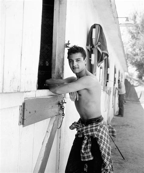 Film Di Sal Mineo