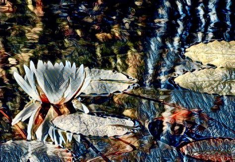 Autumn in Progress By Carolyn Martin – Flora Fiction