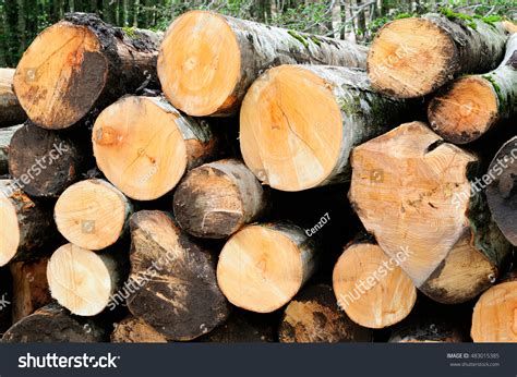 wood log paper stock  images photography shutterstock