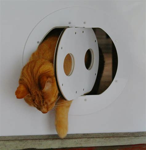 Cat Door Price Auckland at Lee Porter blog