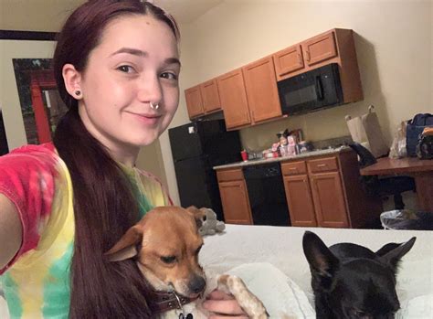 Opinion | An Uplifting Update, on the Terrible World of Pornhub - The