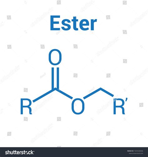 Structural Formula Ester Stock Vector (Royalty Free) 1929328436