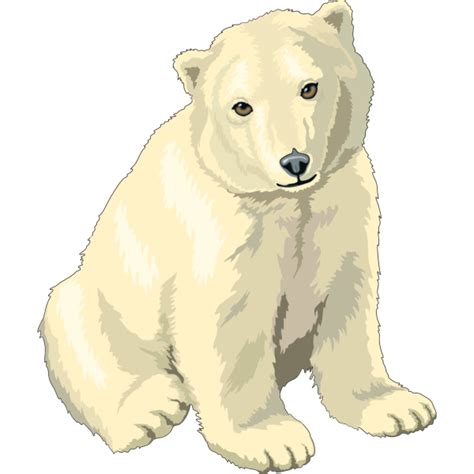 Sitting Polar Bear Cub PNG, SVG Clip art for Web - Download Clip Art ...