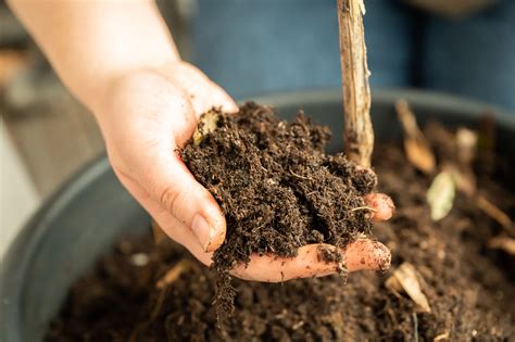 Backyard Composting - How to start your own compost at home