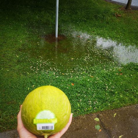 Molly's Pantry on Twitter: "#limelon the taste of....um...summer? #