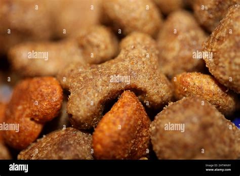 Dog dry healthy food from purina close up background high quality big ...