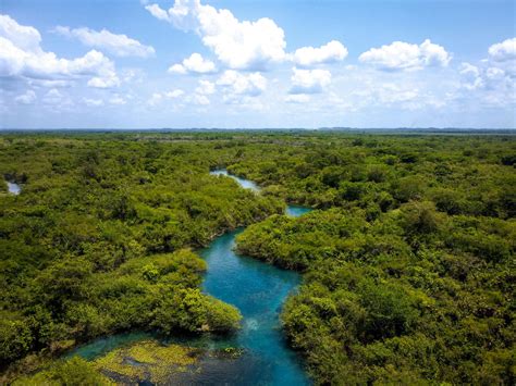 Granny+Bend+Over Photos, Download The BEST Free Granny+Bend+Over Stock