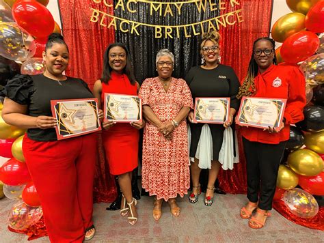 Collin County Alumnae Chapter - Delta Sigma Theta Sorority, Inc. | Allen TX