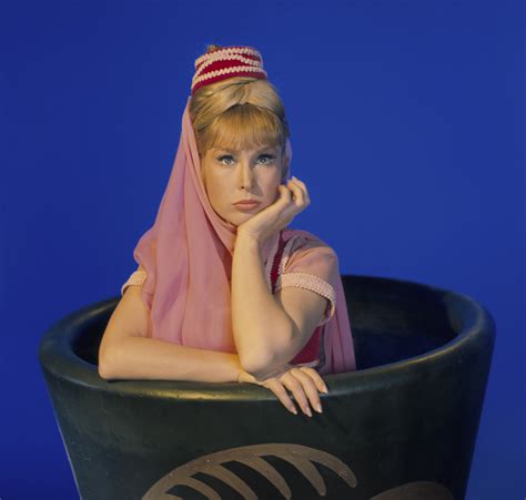 Barbara Eden Barbara Eden I Dream Of Jeannie Celebrity Portraits | Images and Photos finder