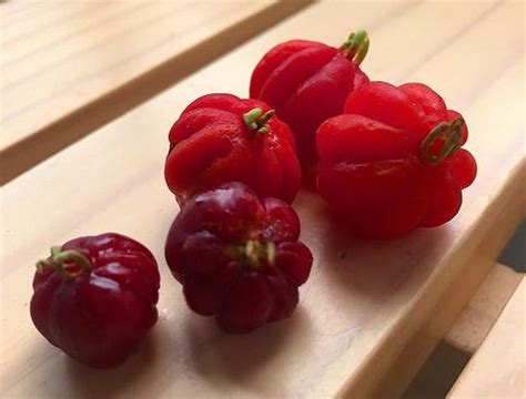 Fruta Pequena E Vermelha - 3 receitas saudáveis com frutas vermelhas. @porlucasmachado