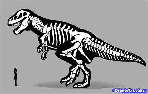 6 Step Prehistoric Puzzle: Breathe Life Into A Dinosaur Fossil