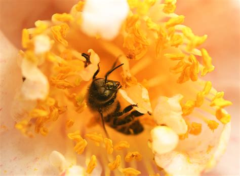 star news obits wilmington 2