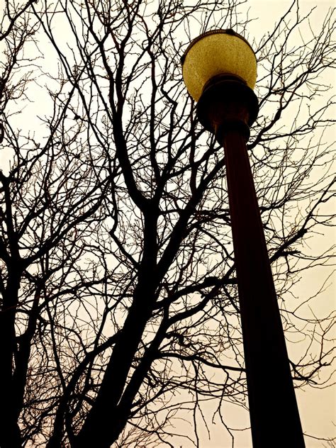 light pole  krissybdesigns  deviantart