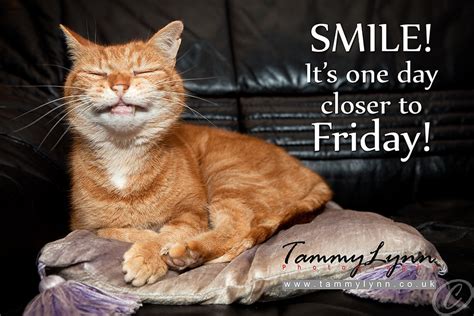 SMILE! It's one day closer to Friday! | Tamara Kwan | Flickr