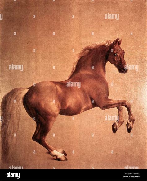 George Stubbs - Whistlejacket - WGA21951 Stock Photo - Alamy