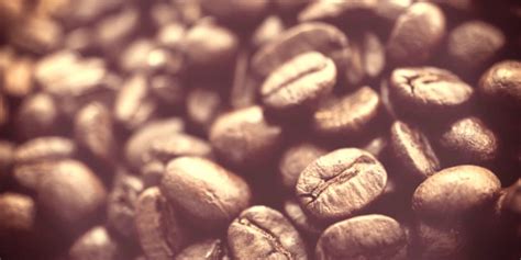 What is Blonde Roast Coffee, Exactly? | Crazy Coffee Crave