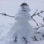 Snowman Meme Generator - Imgflip