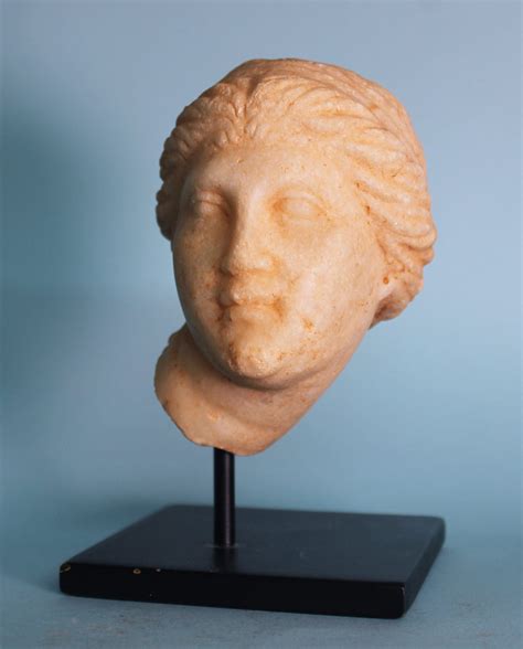 greek marble head  aphrodite hixenbaugh ancient art