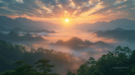 wallpaper mountains forest sunset nature