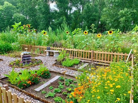 JILL DE VRIES nature & creativity — WILD PIGMENT PROJECT