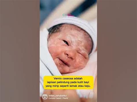 vernix caseosa  newborn youtube