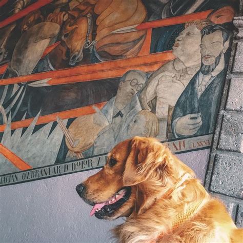 Angelina Beloff: A Journey of Art and Love