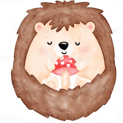 Cute hedgehog, baby hedgehog 24208435 PNG