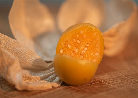 Physalis Fruit Seeds - Free photo on Pixabay - Pixabay