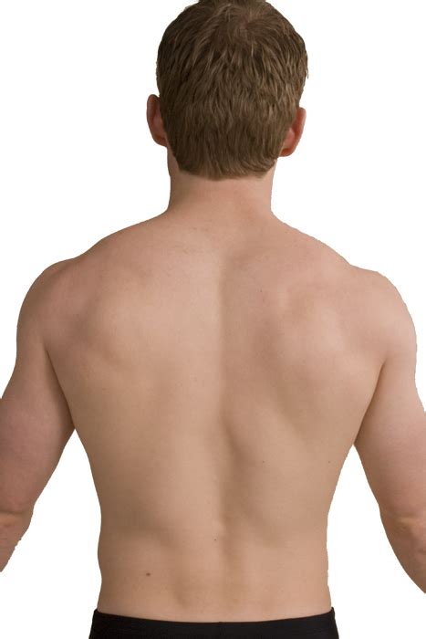 Back skins