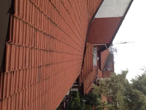 Amtrak Ridership At All Time High... Again! HSRail Next? - TravelUpdate