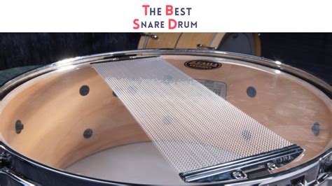 snare drum sound   danica jones blog