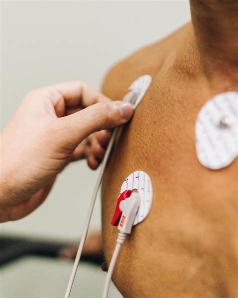 Check Your Heart Health and Function