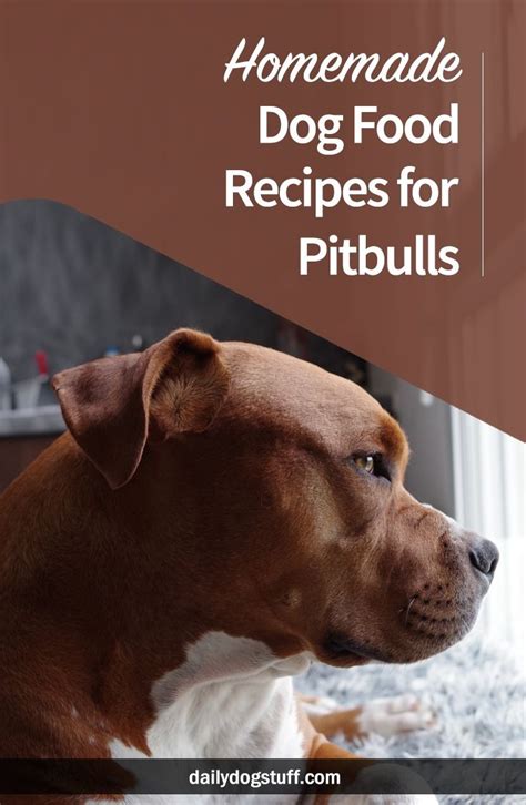 Homemade Dog Food Recipes for Pitbulls | Homemade dog food, Dog food recipes, Homemade dog