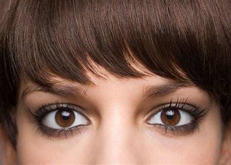 Fotos De Olhos Castanhos - FDPLEARN