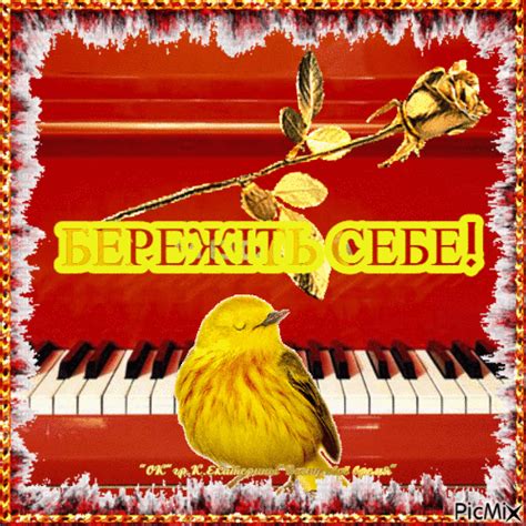 БЕРЕЖІТЬ СЕБЕ! - GIF animé gratuit - PicMix