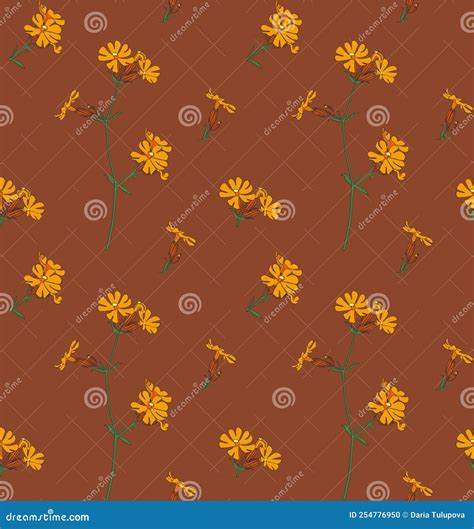 Saponaria Officinalis On A White Background Cartoon Vector