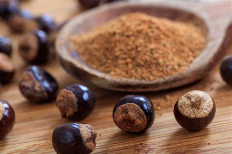 Guarana Em Po Tem Cafeina - Guaraná em pó: mais cafeína do que o café e o cacau | Frootiva