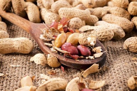 Comer Amendoim Faz Bem - Amendoim faz bem pra saúde - Pais e Filhos